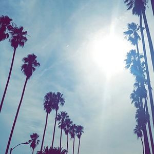 Meet your Posher, Melina